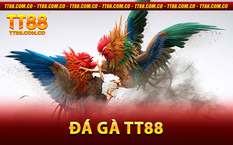 Đá gà TT88
